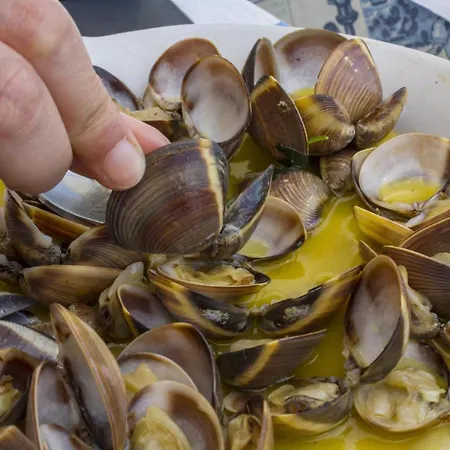 C12 - Sunshine In Luz