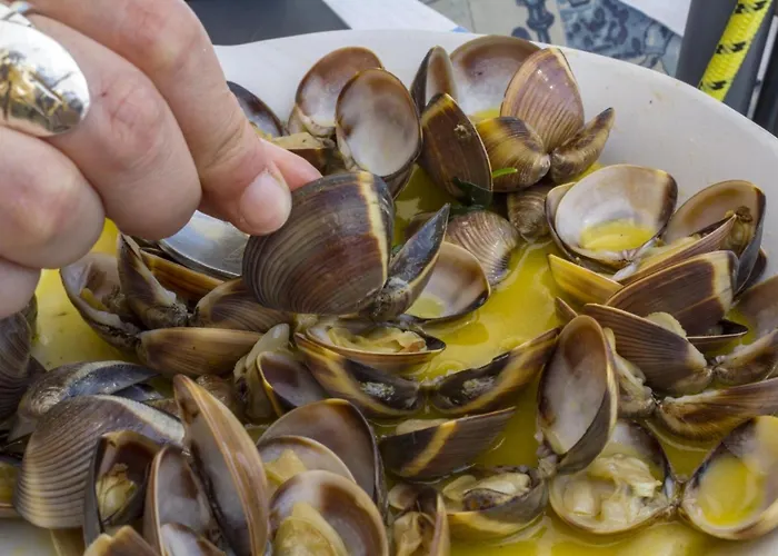 C12 - Sunshine In Luz