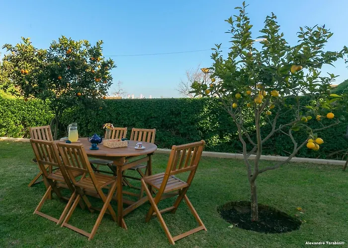 C12 - Sunshine In بيت للعطل *