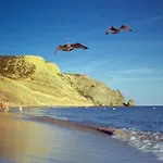C12 - Sunshine In